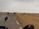 IMG-20181016-WA0031.jpg