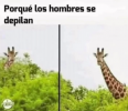 1647801105805.png