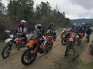 IMG_20220327_103253.jpg