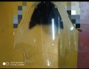 IMG_20220401_103236.jpg