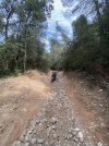 IMG_9418.jpeg