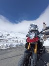 IMG_20220404_171415.jpg