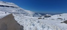20220405_152903.jpg
