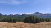 IMG-20220408-WA0012.jpeg