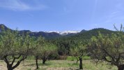 IMG-20220408-WA0016.jpeg