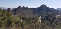 20220417_104846.jpg