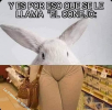 1650398152161.png