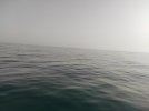 IMG_20210710_192355.jpg