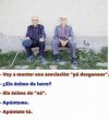 1650750395550.jpeg