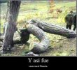 IMG_20220424_082237.jpg