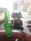 IMG_20220528_132610.jpg