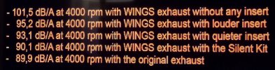 db WINGS(2).jpg