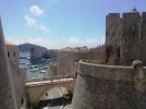 IMG_20220516_122228.jpg