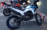 IMG_20220608_062446~2.jpg
