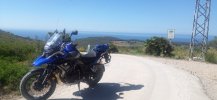 IMG_20220609_104031_127.jpg