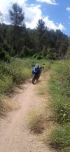 IMG_20220609_120341_930.jpg