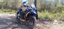 IMG_20220609_130548_379.jpg