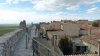 P1100546.jpg