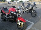 IMG_20220618_075551.jpg