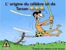 tarzan.jpg