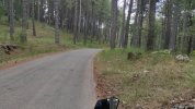 IMG-20220710-WA0017.jpeg