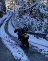 IMG_1338.jpg