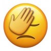 facepalm-emoji-225x225.jpg