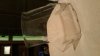 20160410_192714.jpg