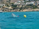 9901_embarcacion-hundida-portet-2-2.jpg