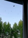 VideoCapture_20220730-154654.jpg