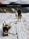 ALASKA.jpg
