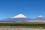 IMG_2705.jpg