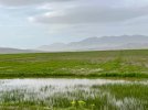 IMG_2861.jpg