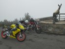 IMG_20220805_182649.jpg
