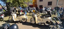 IMG_20220911_103000.jpg