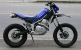 Yamaha-tricker-250 Custom.jpg