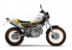 Yamaha-tricker-250 Custom 2.jpg
