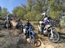 IMG_20220924_115247.jpg