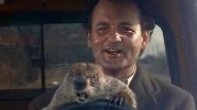 marmota-kX6C--620x349@abc.jpg