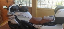 IMG_20221012_124235.jpg