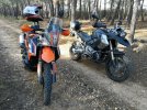 IMG_20221016_103024.jpg