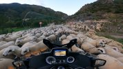 Trafico muy denso.jpg