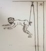 humillante.jpg