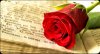 onedaysantjordi.jpg