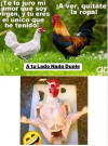 1667067083454.png