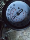 IMG_20221031_080442.jpg