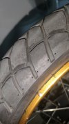 IMG_20221105_160347.jpg