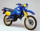 XT 600.jpg
