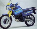 tenere 600.jpg