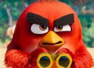 Angry birds.jpg